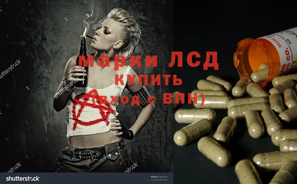 мяу мяу мука Весьегонск