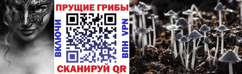 Псилоцибиновые грибы мухоморы  где найти   Верхний Уфалей 